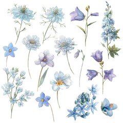 Watercolor blue flowers set-delphinium, tulip, scabiosa, bluebell.