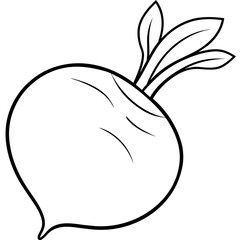 Turnip Vector illustration isolated on white background.