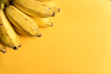 bunch of bananas on yellow background, Sri Lankan 'Seeni' Banana