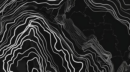 An abstract vector background of a black and white topography contour map