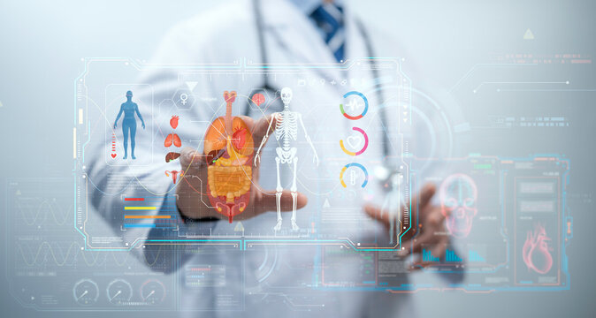 Doctor touch hologram of human system. Medical future technology and innovative concept. The concept support the health of the internal organs of the body.Modern medicine,healthcare,medical insurance - Powered by Adobe