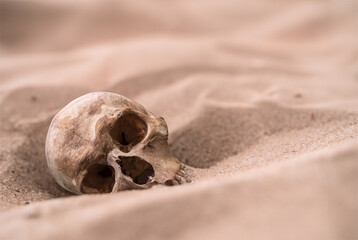 Human Skull In The Sand