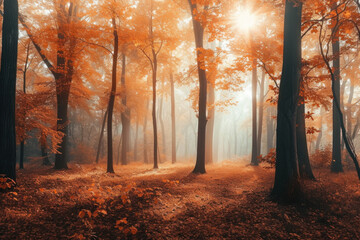 Warm Autumn Forest Scene with Sunlight Filtering through Vibrant Foliage