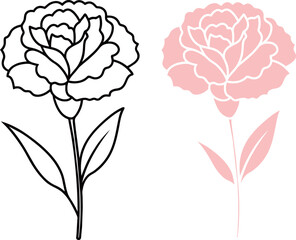 Carnation flower icon in color and outline versions for coloring book
