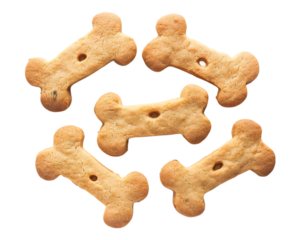 Dog bone food on transparent background