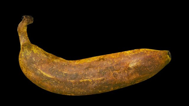 Time-Lapse Of A Banana Turning Brown As It Becomes Overripe, With Alpha Channel