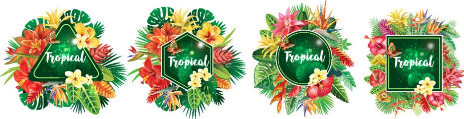 Set of Frames and from Tropical Flowers and Leaf - 783847201