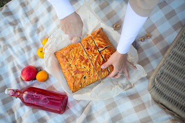Hands of woman with pieces of apple pie on a checkered blanket