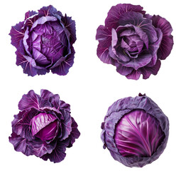 Different styles of purple cabbage isolated on transparent background - obrazy, fototapety, plakaty