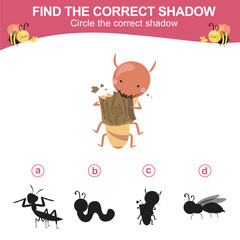Find the correct shadow. Worksheet for kid. Matching shadow game for children. Circle the correct shadow