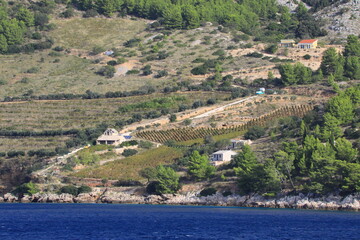 Hillside agricultural farm on the Croatian islands