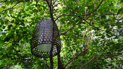 Lampion lamp from woven bamboo hanging in the tree at public park