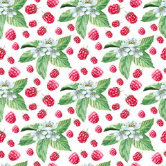Pattern of raspberries, leaves and green leaves, bee, in watercolor illustration on a white background. Hand drawn pattern for printing on fabric, gift wrapping, desserts, perfumes.