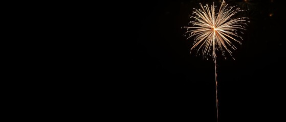 Fototapeta premium Fireworks Exploding in Vibrant Colors Against Night Sky, Copy Space