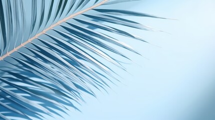 Obraz premium Blurred shadow from palm leaves on the wall. 