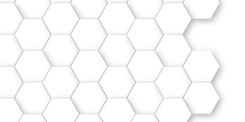 White Hexagonal Background. Luxury White Pattern. Vector Illustration. 3D Futuristic abstract honeycomb mosaic white background. geometric mesh cell texture. modern futuristic wallpaper.