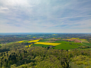 Fototapeta premium A painting of a natural landscape with trees, fields, and a peaceful sky