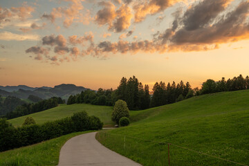 Idyllic sunset in the Swiss Appelzeller Land. Small winding road between hills with grassy soft meadows, pine trees en Appenzeller mountains in the background. Beautiful colored clouds in the sky.