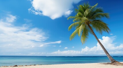 Fototapeta na wymiar Palm tree on tropical beach with blue sky 