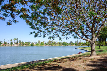 Double sided boat dock stretching into cool spring waters of Kiwanis park lake, Tempe, Arizona 