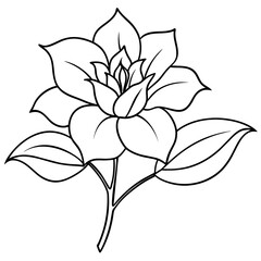    Flower vector illustration with line art.
