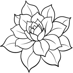    Flower vector illustration with line art.
