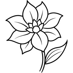    Flower vector illustration with line art.
