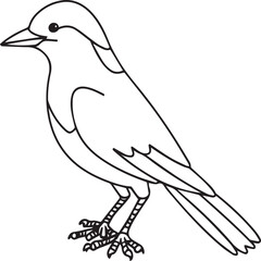 Magpie Flying Bird for children. Coloring book. Bird Vector illustration. Magpie coloring pages