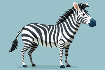Fototapeta na wymiar standing zebra