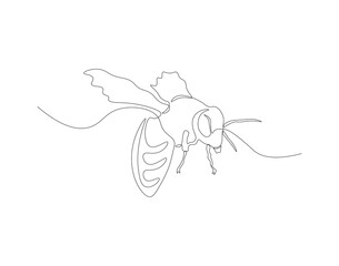 Continuous line drawing of bee. One line of flying bee. Flying insects concept continuous line art. Editable outline.