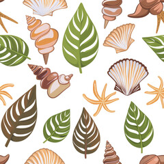 shell, plants, leafs, pattern, beach, no background, simple