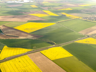 Aerial image of bright yellow rapeseed fields and farm, Brassica napus, in northern France,  - obrazy, fototapety, plakaty