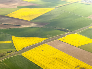 Aerial image of bright yellow rapeseed fields and farm, Brassica napus, in northern France,  - obrazy, fototapety, plakaty
