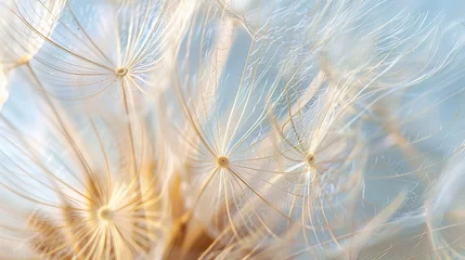 Fotobehang Macro photography of a dandelion seed head © AI Farm