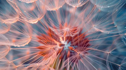  Macro photography of a dandelion seed head © AI Farm
