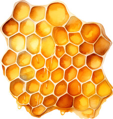 Honeycomb Watercolor Clipart
