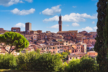Beautiful view of campanile of Siena Cathedral, Duomo di Siena, and Old Town of medieval city of Siena in the sunny day, Tuscany, Siena province, Italy