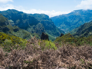 View of green hills, mountain landscape in clouds at blue sky. and lush vegetation at hiking trail PR12 to Pico Grande one of the highest peaks in the Madeira, Portugal - 783901491