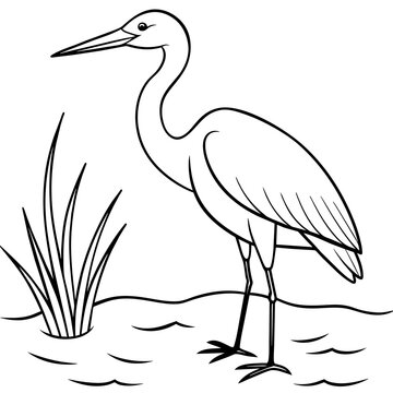 recommend clip art: Cute Heron coloring page line art vector