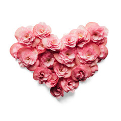 Heart formed with rose flowers as a concept of love and Valentine's Day for lovers, with transparent background and shadow