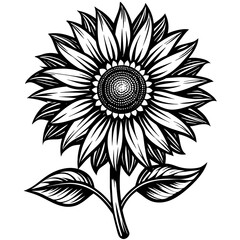 black and white flowers