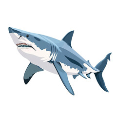 Fototapeta premium vector drawing of a shark on a white background