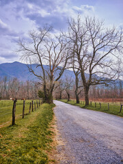 Sparks Lane in Cades Cove Tennessee in the Smoky Mountains - 783907204