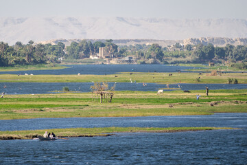 Flooded fertile land and pastures of Nile river in Egypt