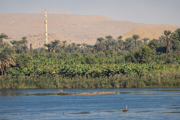 Minaret of a mosque along the  Nile river bank in Egypt 