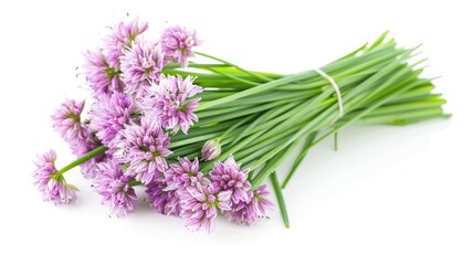 Fresh Chive Flowers Bunch. Isolated on White Background, Perfect for Organic and Chinese Vegetable Concepts