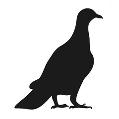 Patagioenas Cayanensis