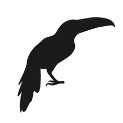 Fototapeta premium collared aracari