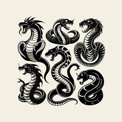 Obraz premium black and white snake