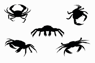 Sea crab silhouette isolated. Vector illustration